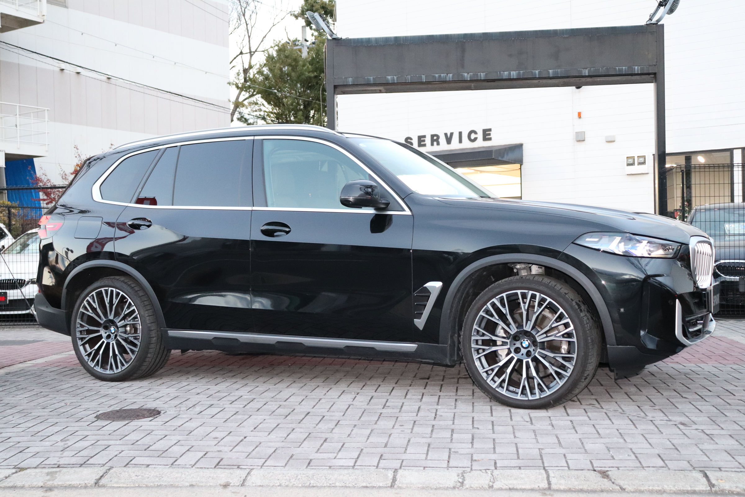 X5 xDrive 35d エディションX インディビジュアルレザー パノラマSR車両画像04