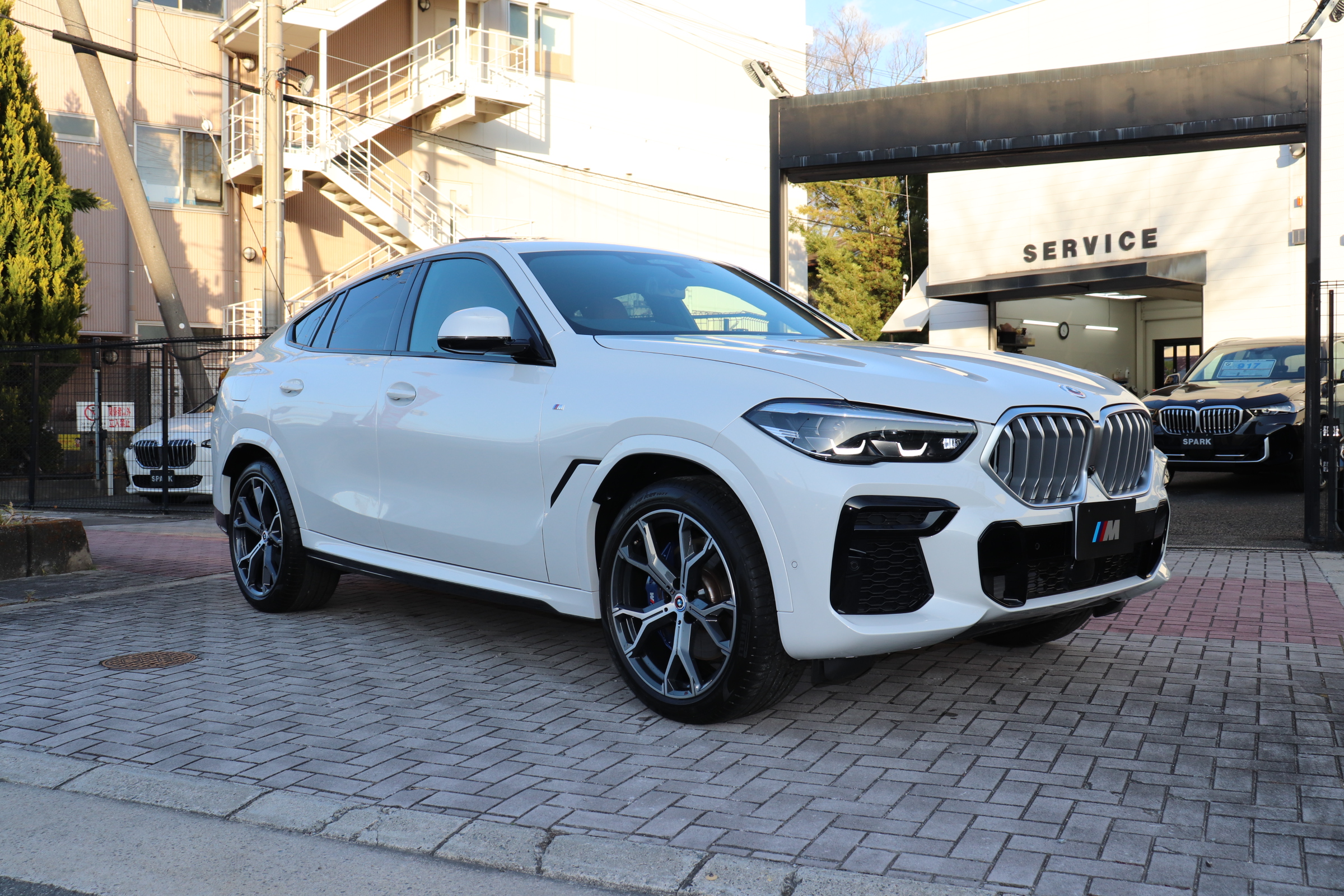 X6 xDrive35d Mスポーツ サンルーフ ブラウンレザー プラスP マイルドHV車両画像03